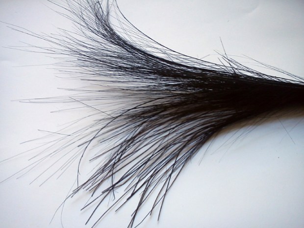 piume - "La camelia Collezioni"