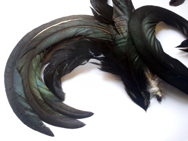 piume - "La camelia Collezioni"