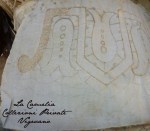 cartoncini tecnici per trine-“La Camelia Collezioni”