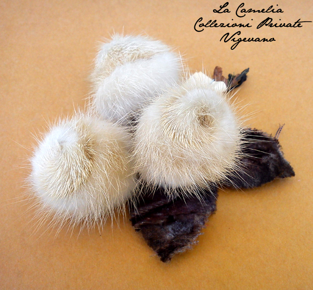 fiori di stoffa decorativi per abiti e cappelli - "La Camelia Collezioni"