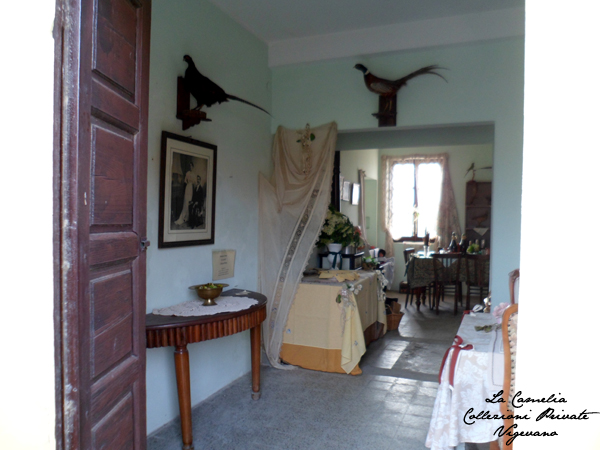 casa della caccia - "La Camelia Collezioni"