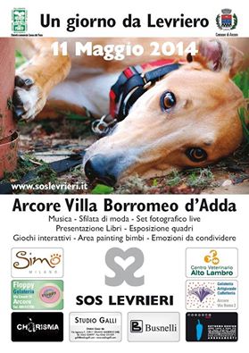 sos-levrieri-un-giorno-da-levriero-villa -borromeo-arcore