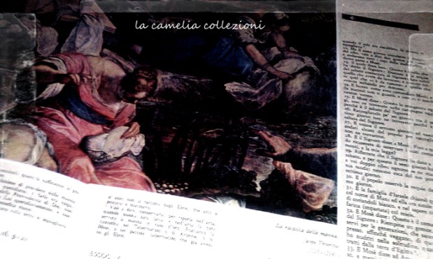 libri-sacri-scritture-sacre-la-camelia-collezioni