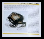 castello di belgioioso – anno 1996 – 4 –  la malizia sotto la veletta – la camelia&nbsp;collezioni