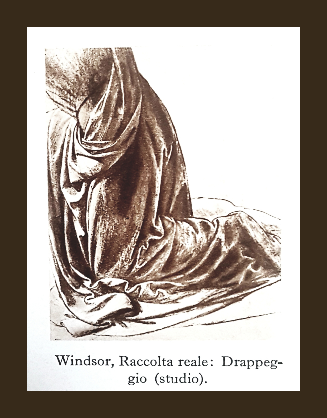 Leonardo da Vinci - drappeggio 1 - la camelia collezioni