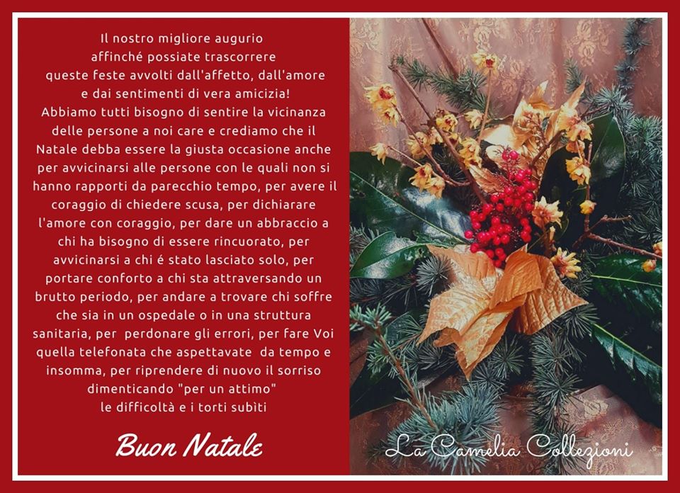 Buon Natale 2019 - la camelia collezioni